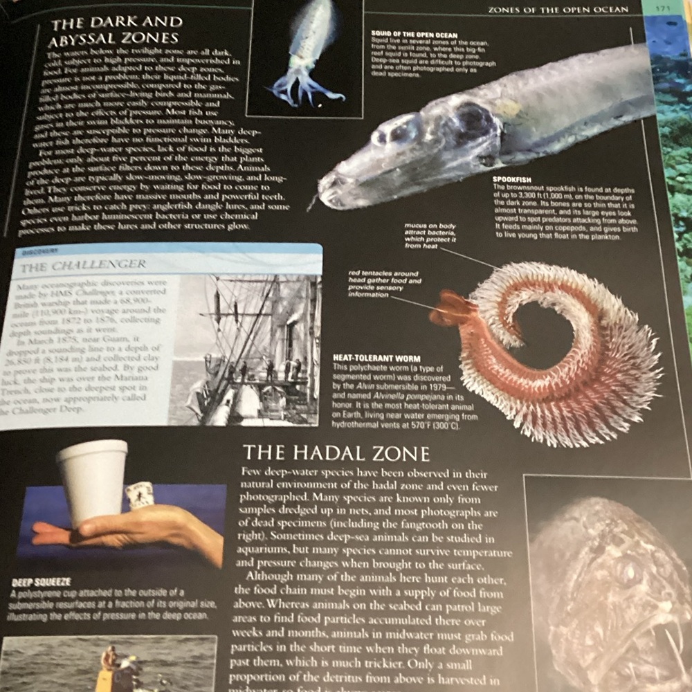 Ocean: The World's Last Wilderness Revealed Book - Picture 7 of 10